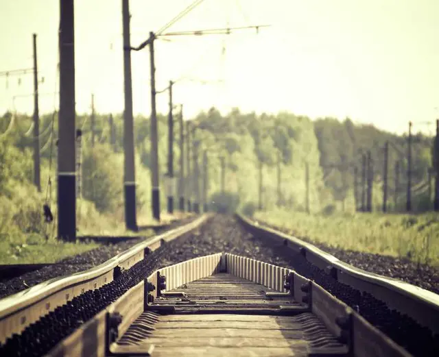 /images/img (10).webp