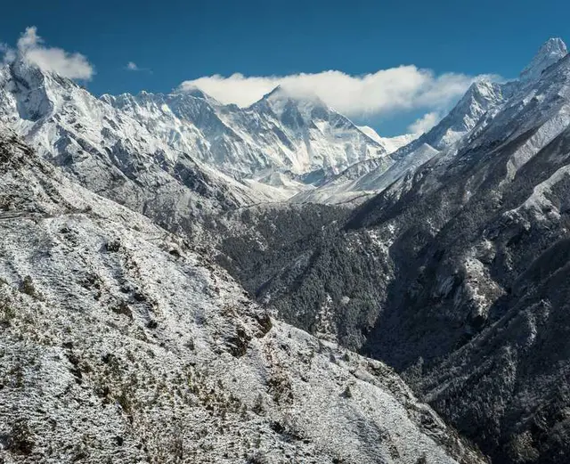 /images/img (17).webp