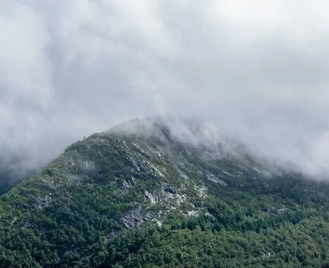 /images/img (19).webp