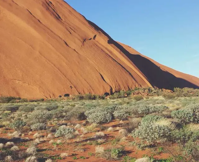 /images/img (21).webp