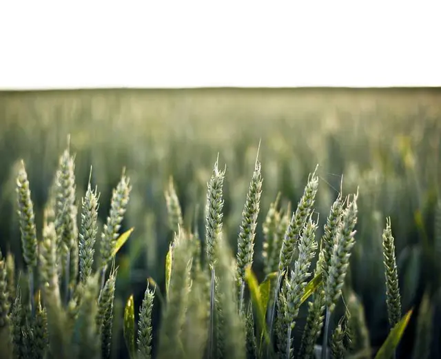 /images/img (23).webp