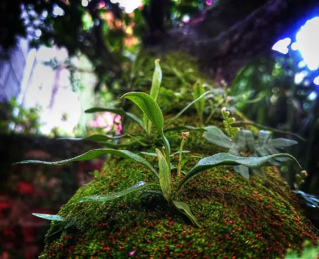 /images/img (24).webp