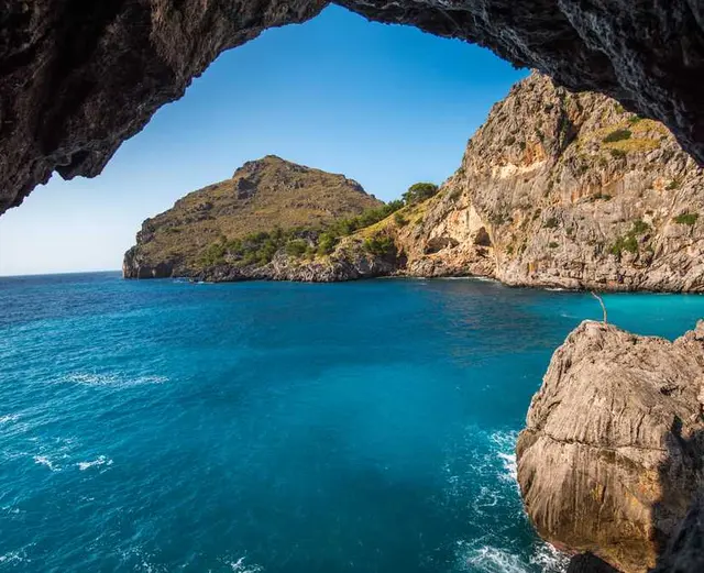 /images/img (38).webp