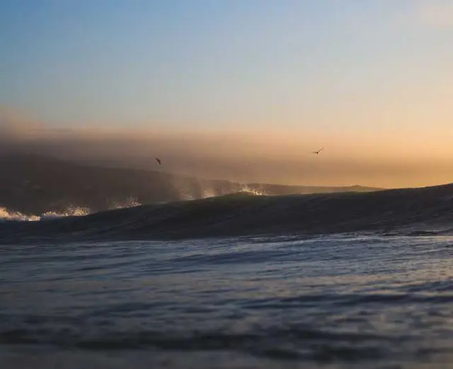 /images/img (4).webp