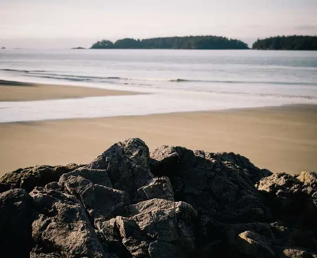 /images/img (40).webp