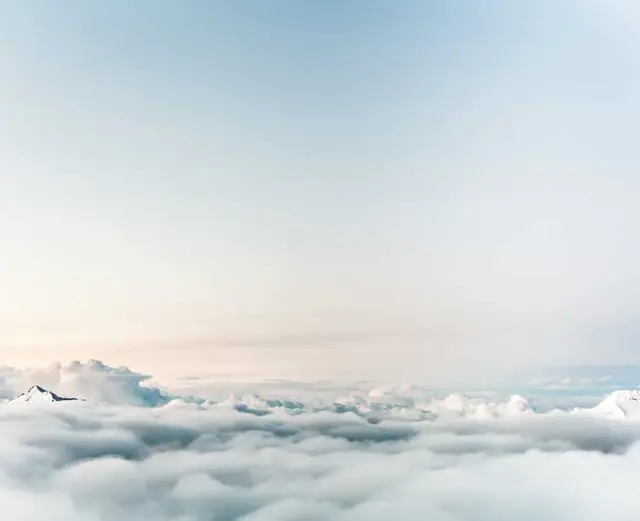 /images/img (41).webp