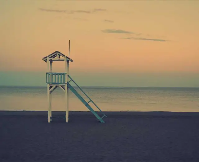 /images/img (42).webp