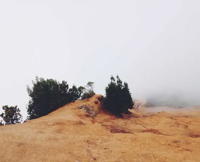 /images/img (60).webp