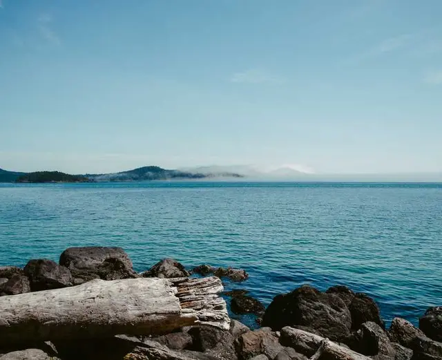 /images/img (63).webp