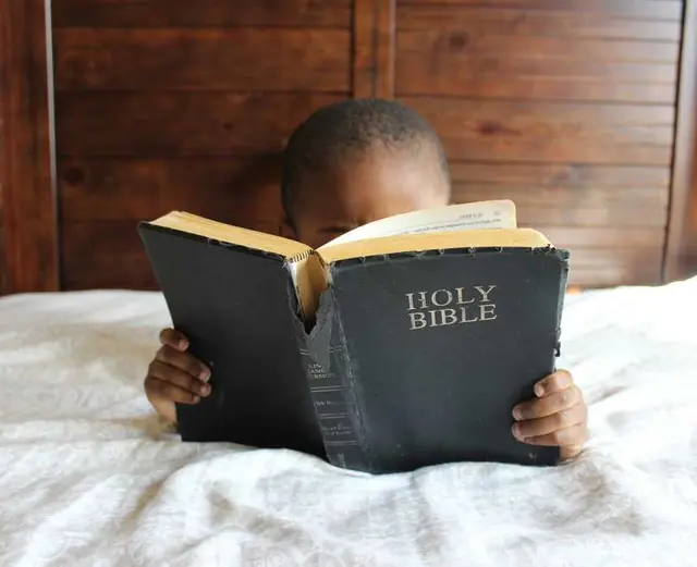 /images/img (70).webp