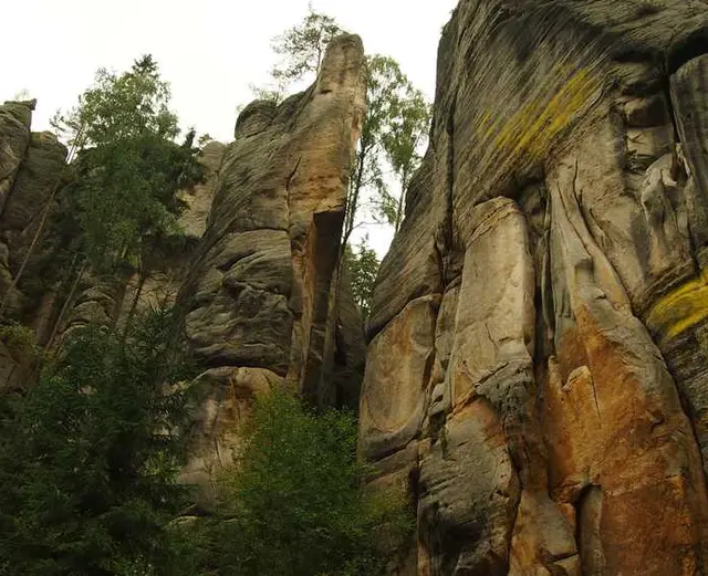 /images/img (81).webp